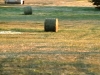 IMGA0334.JPG